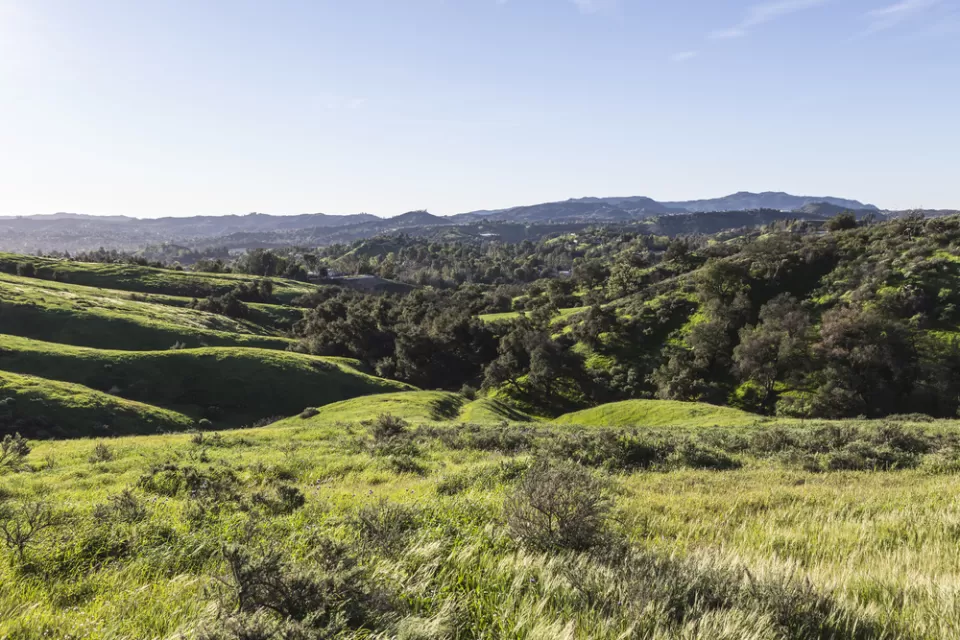 Rolling green hills in San Fernando Valley, Los Angeles